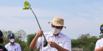 Luhut Panjaitan: Rehabilitasi Hutan Mangrove Akan Dapat Mengatasi Perubahan Iklim Dunia