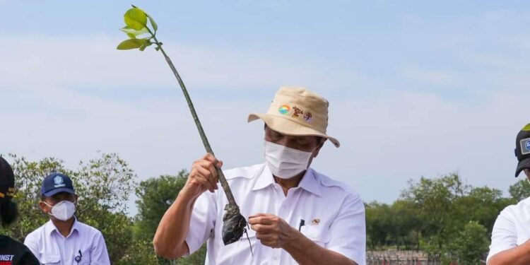 Luhut Panjaitan: Rehabilitasi Hutan Mangrove Akan Dapat Mengatasi Perubahan Iklim Dunia