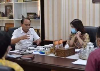 Ketersediaan Listrik Ke Pelosok Desa Pengaruhi Pengentasan Daerah Tertinggal di Papua dan Papua Barat