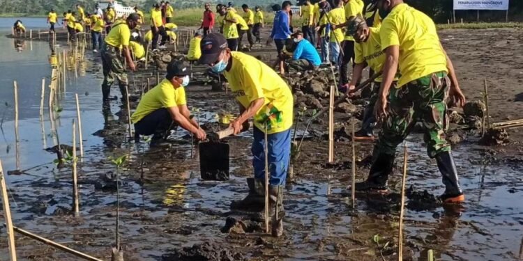 HUT ASDP ke-48, ASDP Tanam 7.300 Bibit Mangrove di 12 Cabang Seluruh Indonesia