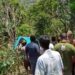 Minibus Rombongan Pelancong dari Langsa Jatuh ke Jurang di Pantan Terong, Dua Meninggal