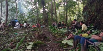 Polres Halteng Berhasil Evakuasi Tiga Korban Pembunuhan Di Hutan Halmahera