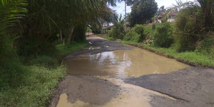 Info ke Pemerintah, Jalan Simpang Mangga Menuju Tugu Sujono Bandar Betsy Bagai Kubangan Kerbau