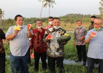Gubernur Lampung Arinal Djunaidi Dukung Perkembangan Kebun Edukasi Lampung Selatan