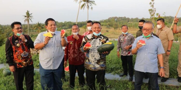 Gubernur Lampung Arinal Djunaidi Dukung Perkembangan Kebun Edukasi Lampung Selatan
