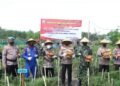 Panen Raya Cabai di Lahan Polairud Congot Kulon Progo. Dari Lahan Kosong Disulap Jadi Lahan Produktif