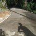 Pekerjaan Proyek Jalan Pertanian Desa Sihuik-huik Dipertanyakan Warga