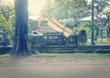 Wah, Biaya Pemotongan Ranting Pohon Dibandrol Rp1.7 Juta