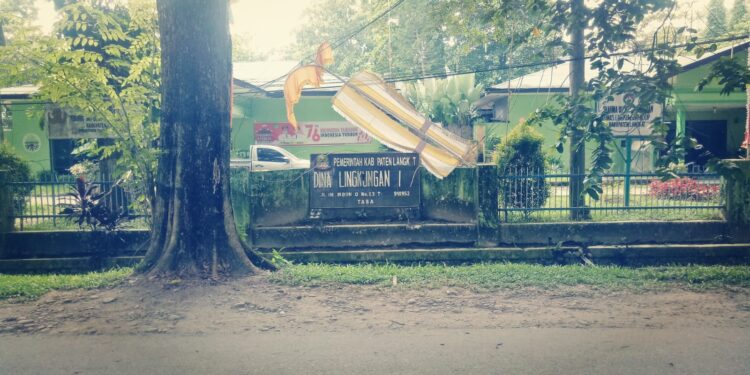 Wah, Biaya Pemotongan Ranting Pohon Dibandrol Rp1.7 Juta