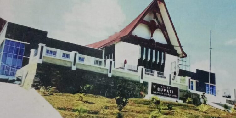 Diduga Langgar Pepres 16 Tahun 2018. Sebanyak 828 Paket Proyek PEN Taput TA 2020 Tidak Masuk Jejak Digital