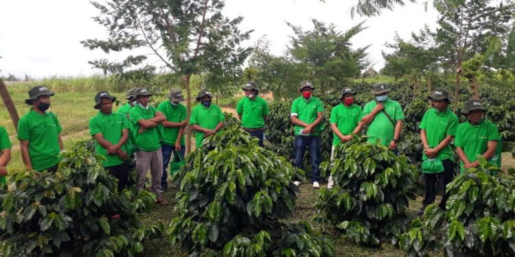 PT Toba Pulp Lestari Selenggarakan Sekolah Kopi