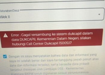 Tak Bisa Mendaftar NIB, Ratusan e-KTP Warga Padangsidimpuan Terblokir