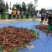 Pemkab Yalimo Panen Raya Ubi Jalar di Kampung Wutlarin Distrik Abenaho
