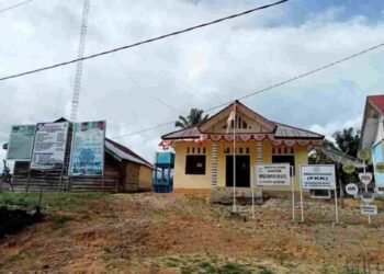 Geuchik Dan Masyarakat Srikayu Butuh Partisipasi Pembangunan Jalan Serta Lampu Jalan Diluar APBDes