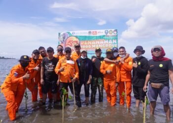 Basarnas Mamuju Gelar Penanaman 1.000 Bibit Mangrove Bersama Potensi SAR