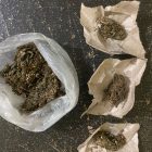 Ganja Barang Bukti yang berhasil diamankan dari Tersangka