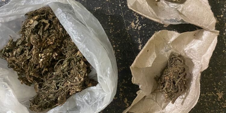 IRT Penjual Buah Diringkus Sat Narkoba Polres Taput Karena Terlibat Jual Narkoba