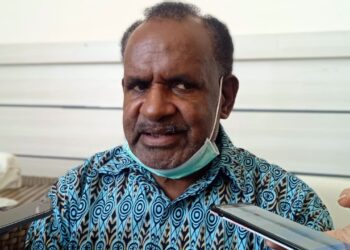 Alpokat dan Labusian dari Wamena Dikirim ke PT Freeport Indonesia
