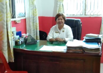 Mengherankan, Tenaga Kontrak GTTD yang Diperpanjang Pemkab Nisel Tinggal 1.313 dan Berlaku Hingga Juli 2022