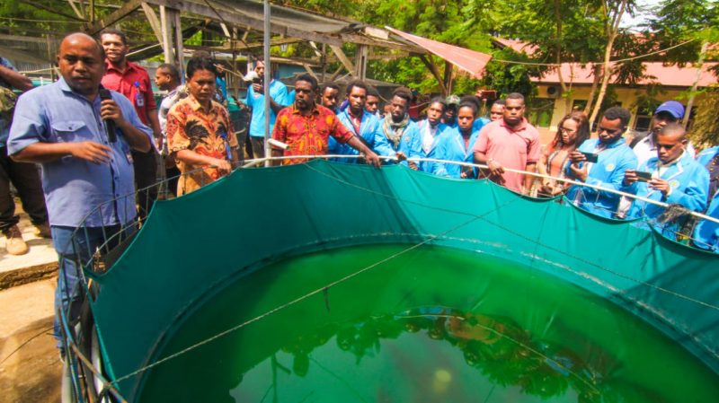Dihadapan Dosen dan mahasiswa Stiper Petra Baliem Wamena, Ketua Prodi Peternakan menjelaskan tentang cara memelihara ikan di dalam kolam