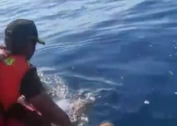 Pergi Melaut, Nelayan Asal Lombok Utara Ditemukan Meninggal di Tengah Laut