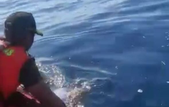 Pergi Melaut, Nelayan Asal Lombok Utara Ditemukan Meninggal di Tengah Laut