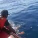 Pergi Melaut, Nelayan Asal Lombok Utara Ditemukan Meninggal di Tengah Laut