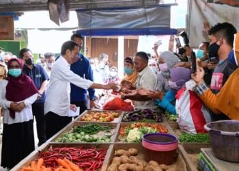 Saat Kunjungan Kerja di Subang. Presiden Jokowi Minta Menteri Fokus dalam Bekerja
