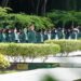 174 Mahasiswa FISIP USU PKL di Padang Tualang Langkat