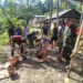 Memasuki Hari ke-3, Kegiatan TMMD Berjalan Lancar di Kabupaten Mamuju