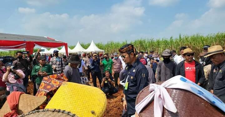 Panen Tebu di Subang Mentan Yasin Limpo Siapkan Strategi Penuhi Kebutuhan Gula Nasional