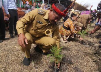 Pembukaan Mini FBLB 2022, Bupati Jayawijaya Tanam Pohon