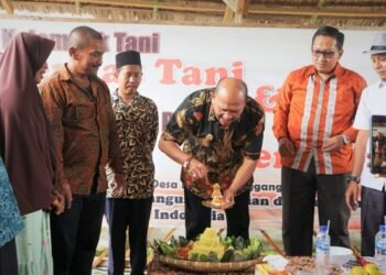 Afandin Inginkan Taman Edukasi Desa MelenggangJ adi Contoh Semua Desa di Langkat