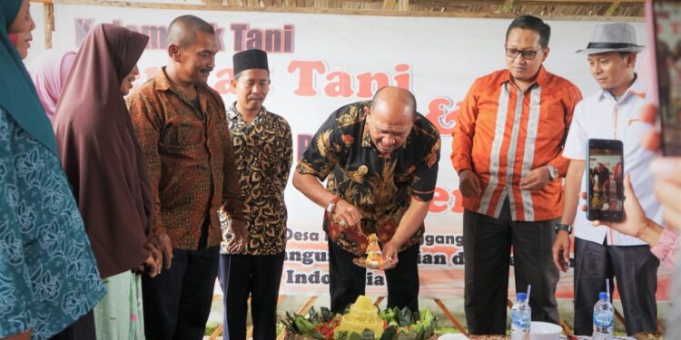 Afandin Inginkan Taman Edukasi Desa MelenggangJ adi Contoh Semua Desa di Langkat
