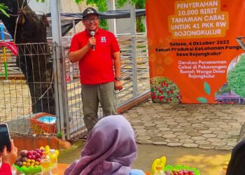 Dukung Program Ketahanan Pangan, Pemdes Bojong Kulur Bagikan 10 Ribu Bibit Cabai