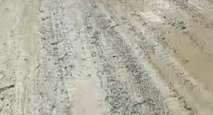 Jalan Rusak Parah Akibat Galian C, Masyarakat dan KNPI Wampu Protes