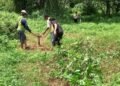 Penanganan Banjir Jadi Program Prioritas Bobby Nasution, Pembangunan Kolam Retensi di Medan Johor Upaya Atasi Permasalahan Banjir