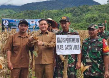 Kuota Pupuk Bersubsidi Kabupaten Gayo Lues Tahun 2023 Naik Drastis, Hingga 400 Persen