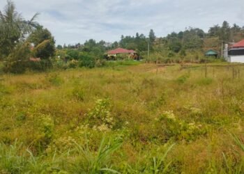 Tingkatkan Hasil Produksi Padi, Petani Blangpegayon Minta Pemda Bangunan Irigasi