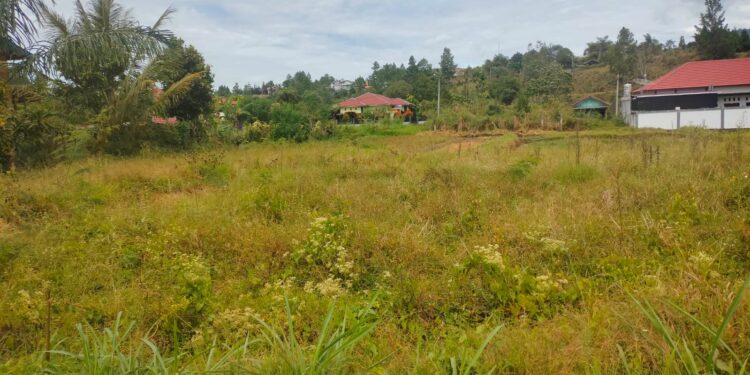 Tingkatkan Hasil Produksi Padi, Petani Blangpegayon Minta Pemda Bangunan Irigasi