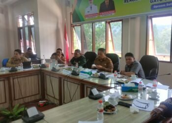 Bappeda Gayo Lues Gelar Konsultasi Publik Ranwal RKPK 2024