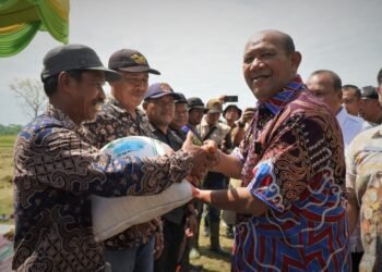Syah Afandin Ingin Jadikan Langkat Centra Tanaman Kedelai di Sumut