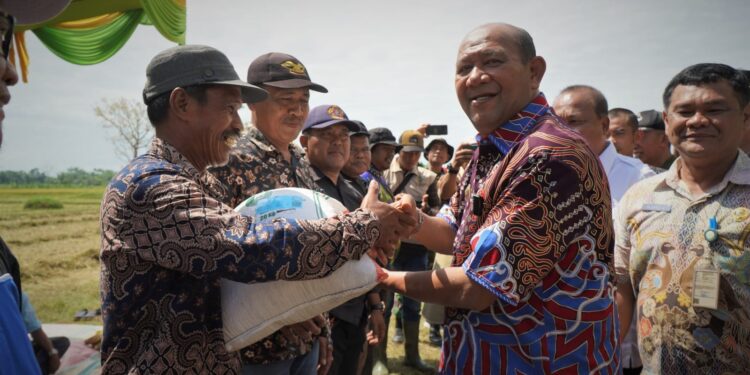 Syah Afandin Ingin Jadikan Langkat Centra Tanaman Kedelai di Sumut
