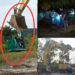 Terkait Penambang PETI Ilegal, Rakyat Desa Nanga Dua Kapuas Hulu-Kalbar Murka Tahan Sejumlah Barang Perusahaan PT.BMM Yang Diduga Akan Kabur