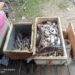 Kolam Limbah Pabrik CPO PT. ASL Jebol, Ribuan Ikan di Sungai Mati