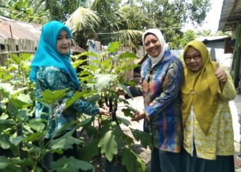 TP PKK Langkat Kembali Lakukan Pembinaan Aku Hatinya PKK di Desa Padang Berahrang