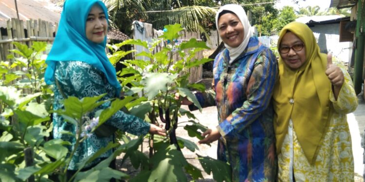 TP PKK Langkat Kembali Lakukan Pembinaan Aku Hatinya PKK di Desa Padang Berahrang