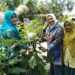 TP PKK Langkat Kembali Lakukan Pembinaan Aku Hatinya PKK di Desa Padang Berahrang