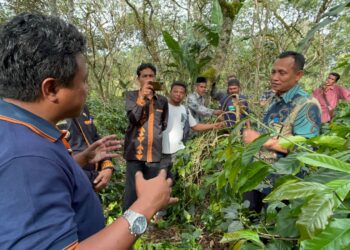 BNNK Gayo Lues Terima Kunjungan PT Ujang Jaya Internasional dan Starbucks 