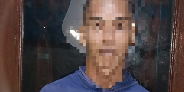 Pencuri Buah Kelapa Sawit PT. PHS Ditangkap Satreskrim Polres Sekadau